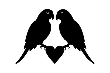 A couple of parrot vector silhouette images for illustration.