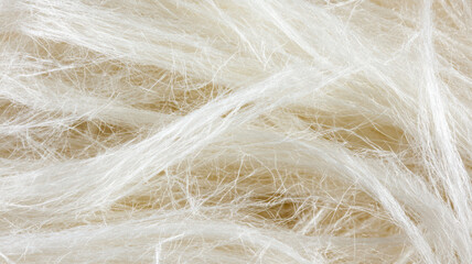 Obraz premium Textured Paper - Handmade Fiber Surface