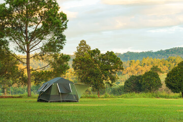 Tourist dome tent camping at forest camping site