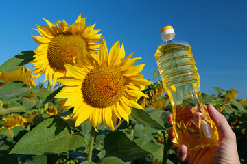 Human hand holding bottle of sunflower oil near sunflower in field