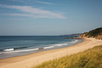 Obraz premium A Serene Coastal Beach with Gentle Waves and Soft Golden Sands