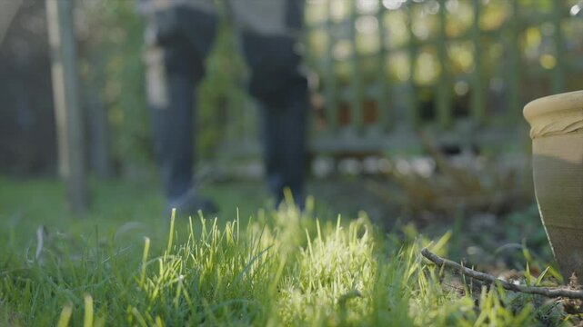 A garden with a green lawn and a few potted plants. A rake and a pair of pruning shears are lying on the grass