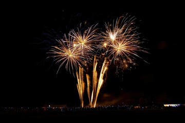 Colorful Night Fireworks Display in Black Sky