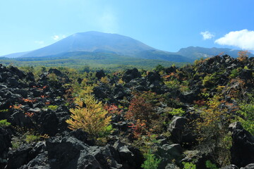 Fototapeta premium 鬼押出し園