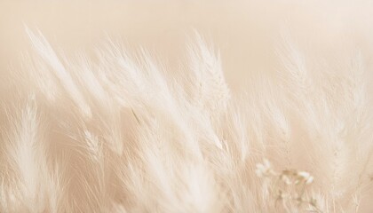 Neutral Field with Natural Beauty