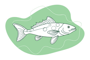 High-Quality Lingcod Fish Line Art Vector