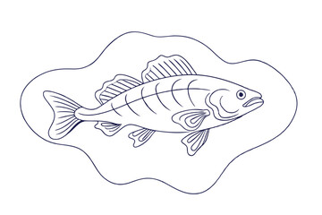 High-Quality Lingcod Fish Line Art Vector