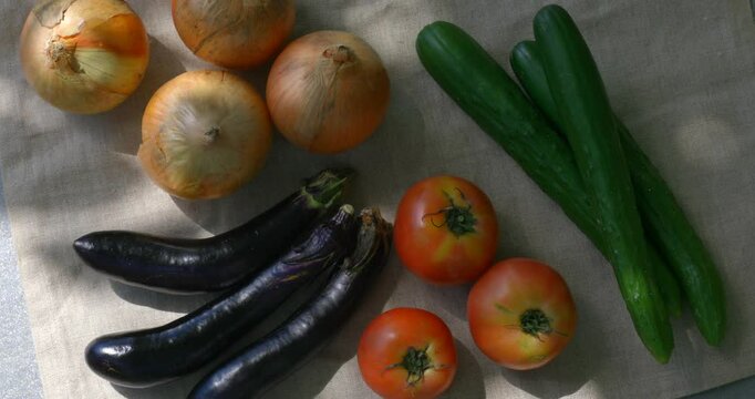 木漏れ日の中の野菜