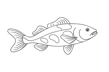 High-Quality Lingcod Fish Line Art Vector