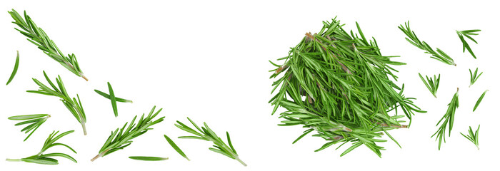 Obraz premium Rosemary twig and leaves isolated on white background. Top view with copy space for your text. Flat lay