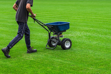 Groundsman spreads fertilizer for grass on a football pitch