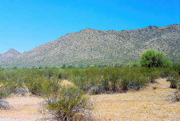 San Tan Mountains Sonora Desert Arizona On Film