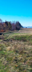 Fototapeta premium Landscapes - Forest - Europe, Romania, Suceava region