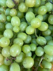green grapes close up