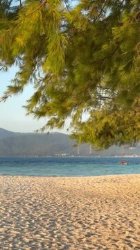 Tranquil Seashore Beneath the Tree at Karimun Jawa island