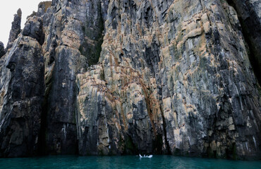 The spectacular Alkefjellet cliff with guillemots, dolerite columns, Svalbard