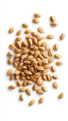 Obraz premium Grains of wheat on a white isolated background.