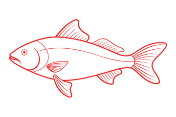 Redfish Line Art Vector