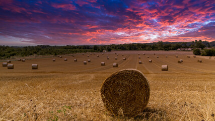 hay bales in the field © Paul