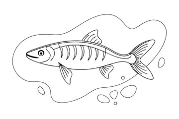High-Quality Pike Fish Line Art Vector