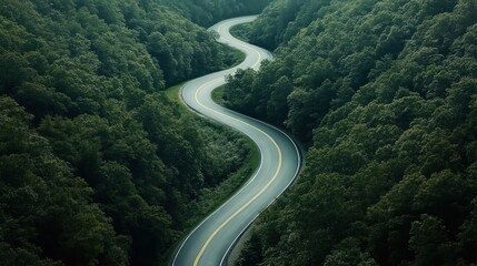 Fototapeta premium Aerial view of a winding road curving through a dense green forest, surrounded by lush trees and natural vegetation.