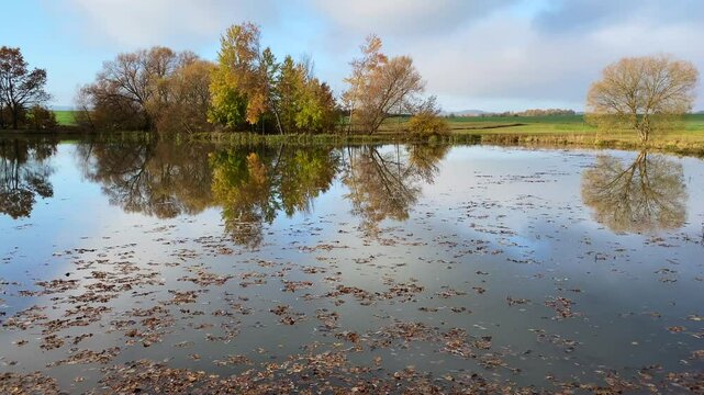 Autumn reflection on the fishing pond