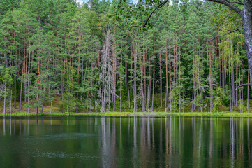 Idyllic Lake Certoks in Čertoka ezera skatapunkts National Park near Aglona, ​​Latvia – beautiful trees and reflection in the water