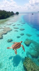 Naklejka premium A serene underwater scene featuring a sea turtle gliding through crystal-clear turquoise waters, showcasing coral formations and lush greenery, Ideal for travel, environmental conservation