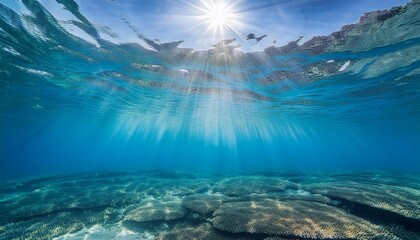 Fototapeta premium Radiant Sunlight Filtering Through Clear Ocean Water Above a Peaceful Seabed