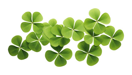 four leaf clover group top view isolated on transparent background cutout