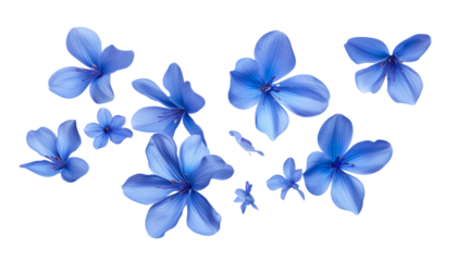 flying blue petals isolated on transparent background cutout