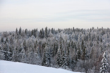 Russia Perm krai winter taiga
