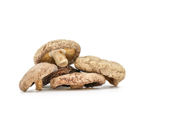 Dried Shiitake Mushroom on a white background