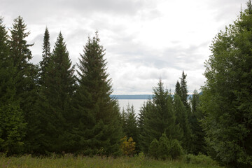 Russia Perm Krai taiga landscape on a summer cloudy day