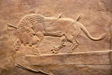 Assyrian relief, wounded lion, animal hit by arrows