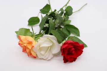 bouquet of roses on white background