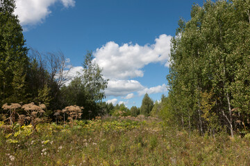 Russia Perm region landscape on a summer cloudy day