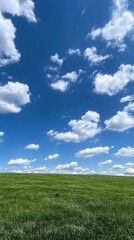 Obraz premium A vast green field stretches out beneath a brilliant blue sky dotted with fluffy white clouds.