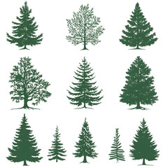 Fototapeta premium pine tree clip art set, watercolor style, on white background