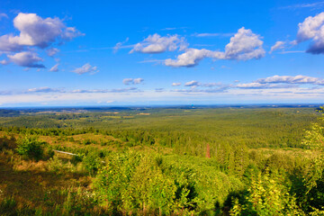 Russia Perm region forest landscape on a cloudy summer day