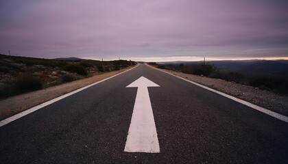Fototapeta premium Straight Road with an Arrow Painted on It Leading to the Horizon, stretching toward the horizon under a clear sky. The perspective creates a sense of direction and purpose, symbolizing a journey 