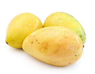 Mango fruit (Mangifera) isolated on white background
