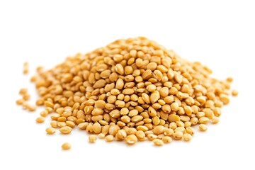 Fototapeta premium Canola isolated on a white background, close up