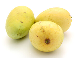 Mango fruit (Mangifera) isolated on white background
