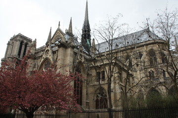 Fototapeta premium Notre Dame Cathedral view