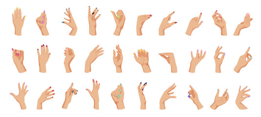 A collection of different hand positions and gestures. Vector illustration