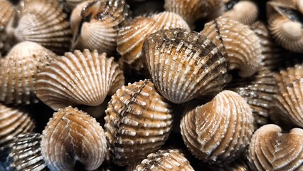 Clams in a restaurant. Seafood.