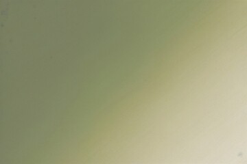 Sophisticated Olive Sage Ivory Gradient Background with Soft Noise Texture