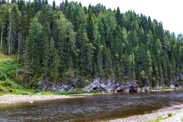 Russia Perm region taiga on a cloudy summer day
