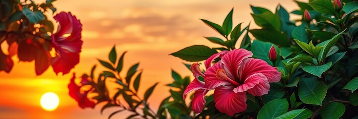 Vibrant hibiscus flowers and lush tropical leaves create a stunning backdrop against the warm tones of a sunset, floral arrangement, hibiscus, outdoor decor